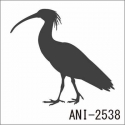 ANI-2538